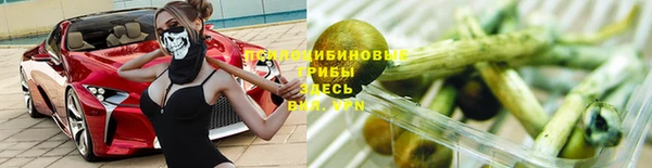ГАЛЛЮЦИНОГЕННЫЕ ГРИБЫ Медвежьегорск