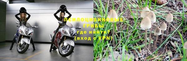 трава Мегион