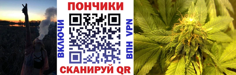 Бошки марихуана гибрид Зуевка